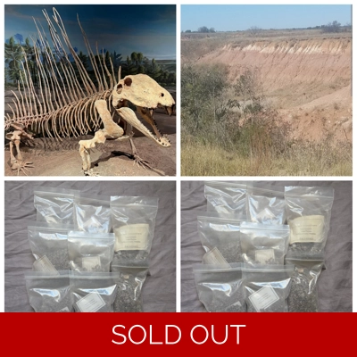 Rare Real Dinosaur Fossil Dig Experience Kit Permian of Oklahoma Edition